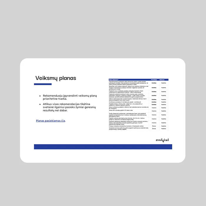 SEO audito ataskaitos pavyzdys – Kaune